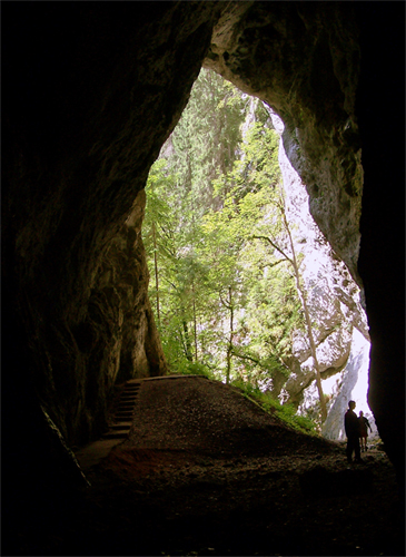 Ionele cave
